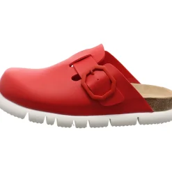 BIO life Clog rot Hot