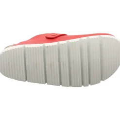 BIO life Clog rot Hot