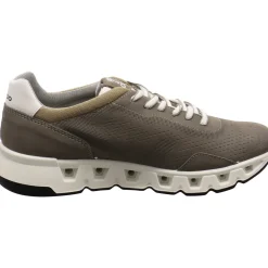 IGI&Co Sneaker low Gore-Tex Surround braun New