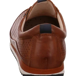 Pikolinos Sneaker low Liverpool braun Online